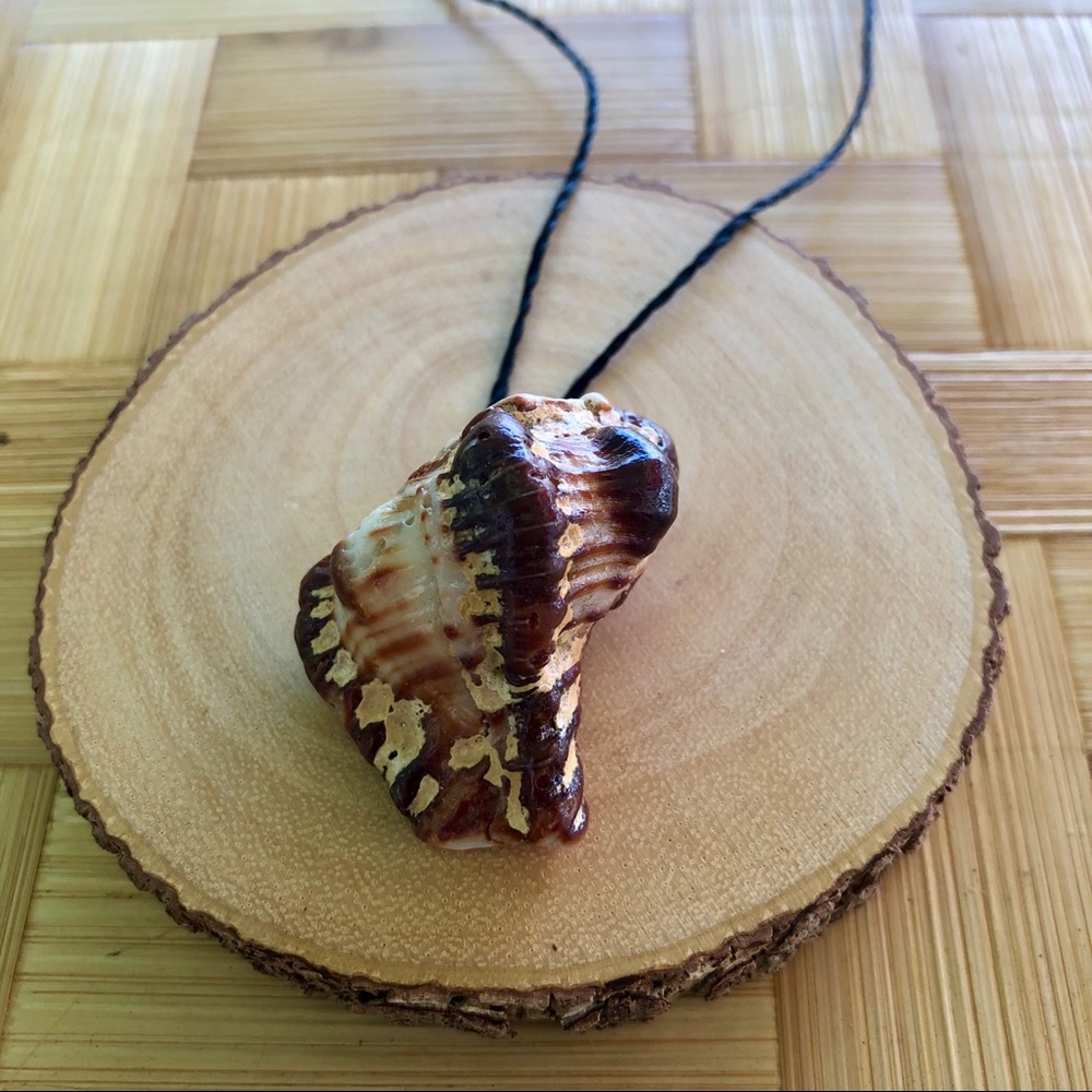 Shell necklace #210